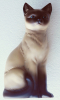 Porzellanfigur Siam Katze sitzend Goebel matt Nr. 31 888 .. 27,5cm