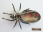 Preview: Ausgefallene Brosche Spinne Silber 925 mit Perlmutt Einlage 4,5x2,8cm 7,2g