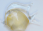 Preview: Glasskulptur Figur Fisch Murano V. Nason Goldstaub Engelsfisch 11cm