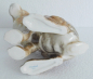 Preview: Naturgetreu ausgeformte Porzellanfigur sitzender Hase Feldhase Goebel 304 17,5cm