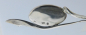 Preview: Löffel / Zuckerlöffel Silber 925 Bernstein Cabochon 12,5g 12cm