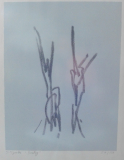Serigraphie Dialog Siegward Sprotte signiert lim Nr 54/150 - KEIN Versand ! -