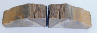 2 Buchstützen versteinertes Holz Eiche Oak vom Ginkgo Petrified Forest USA Deko