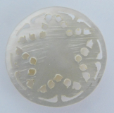 Runde Plakette Anhänger Aufnäher Perlmutt Stern Ø3,1cm