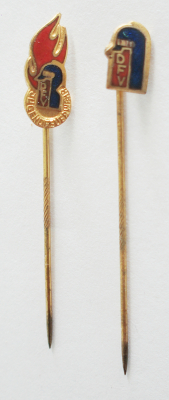 2 x Nadel Pin DFV Deutscher Feuerwehr Verband + Jugendfeuerwehr