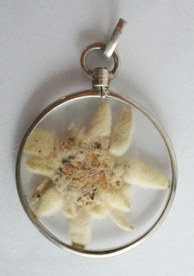 Dekorativer Anhänger Silber 800 mit Edelweiss Ø2,5cm #b