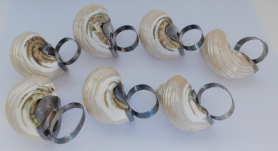 7 große dekorative Serviettenringe Muschel Schneckenhaus maritime Deko