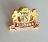 Abzeichen Nadel Pin Festina Uhren Werbung 2,2x1,5cm