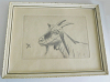 Kleine alte Radierung Ziege mit Insekt num. 7/18 - sign. 81 - 21,5x16,5cm